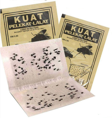 Glue Application Machine Makes Soft Mouse Glue Board Fly Sticky Traps For Plants Fly Catcher Glue Trap Machine